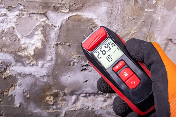 Best Toxic Mold Removal  in Oconto Falls, WI